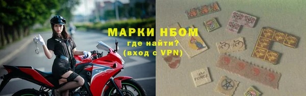 сатива Горно-Алтайск