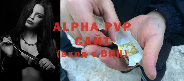 сатива Горнозаводск