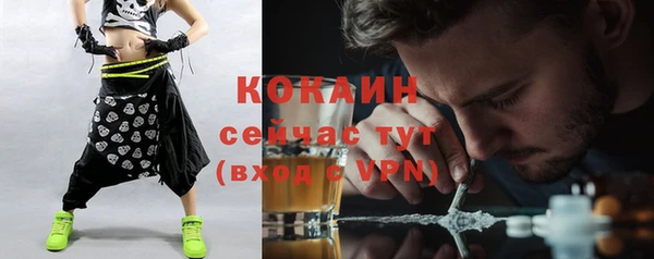 сатива Горнозаводск