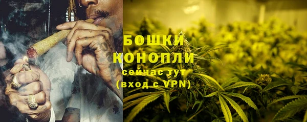 сатива Горнозаводск