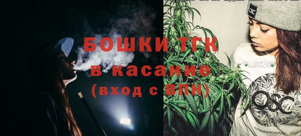 apvp Горняк