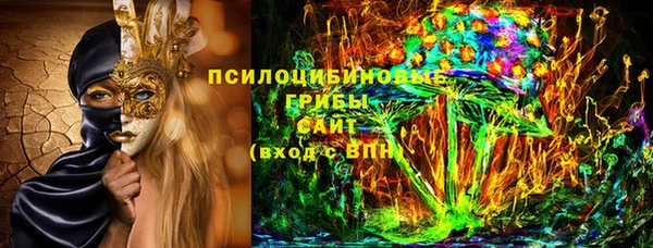 apvp Горняк