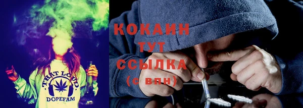 сатива Горнозаводск